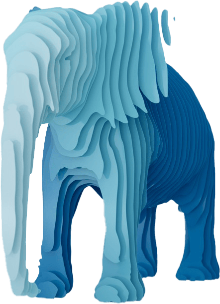 The vector of an elephant